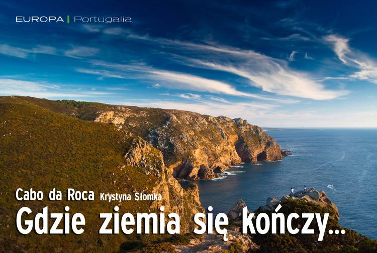Losowy darmowy artykuł